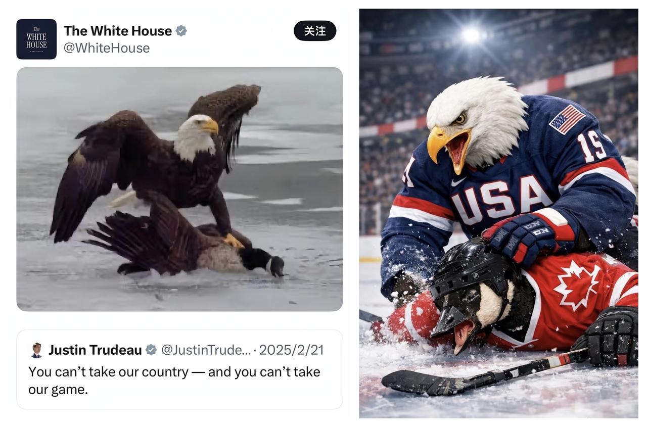 ✨夺笋呀！美国又羞辱加拿大✨🐼米兰冬奥会男子冰球决赛，美国队2:1战胜加