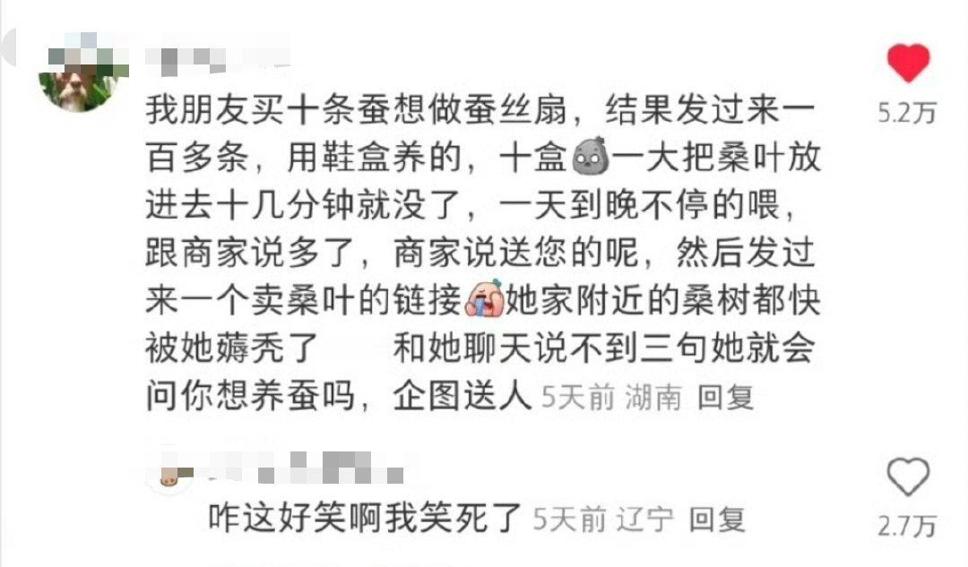 你想养蚕吗？哈哈哈哈哈哈哈哈哈哈​​​