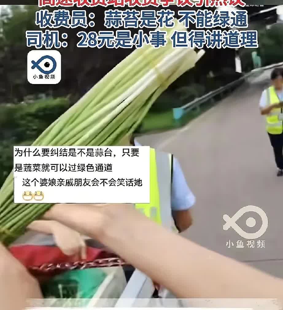 男子拉走绿色通道被拦下，高速人员：“这不是蒜苔，是花，已经开花了，不能上高速”。