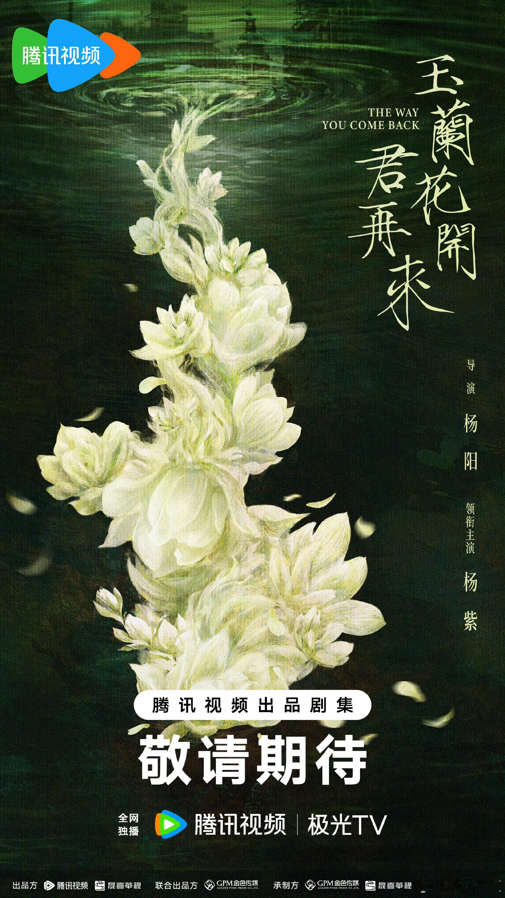杨紫回应饰演董竹君热点现场杨紫的《玉兰花开君再来》与孙俪的《那年花开月正圆》，