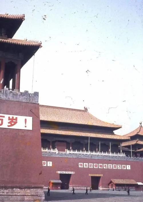 #老照片#