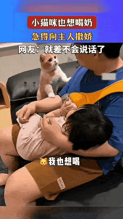 谁还不是个宝宝？笑不活了！家里小猫咪看到男主人抱着女儿用奶瓶喂奶，眼睛都看直了