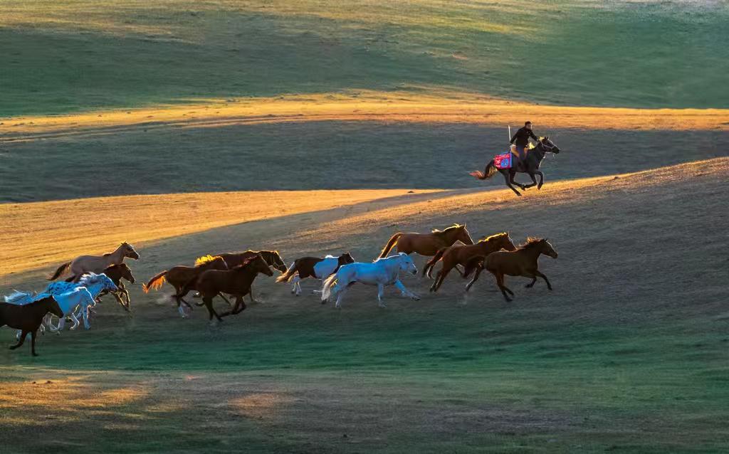 马年正月初四发一组马片，愿各位朋友马年大吉、事事如意！我的摄影日记马年大吉