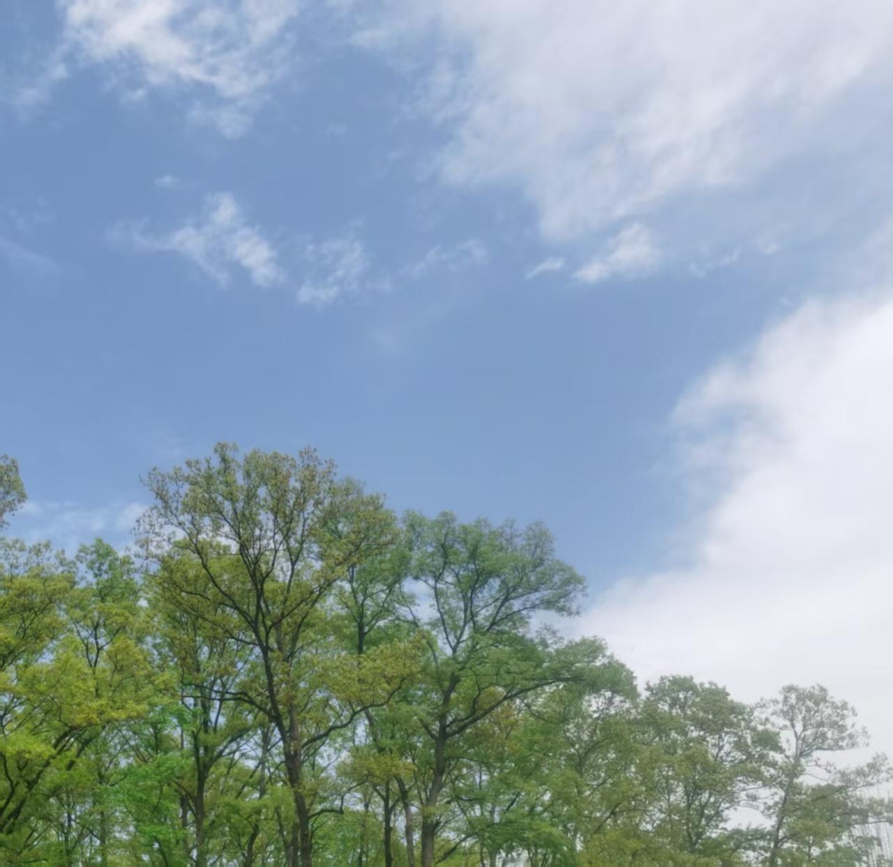 儿子收到免费读博的全额奖学金通知，我和老公在万般高兴里。亲戚一说，他们家儿子