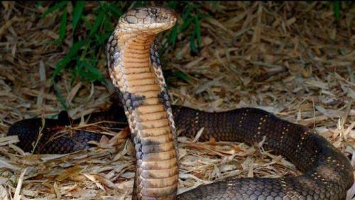 5988178087353626641.jpg?id=0