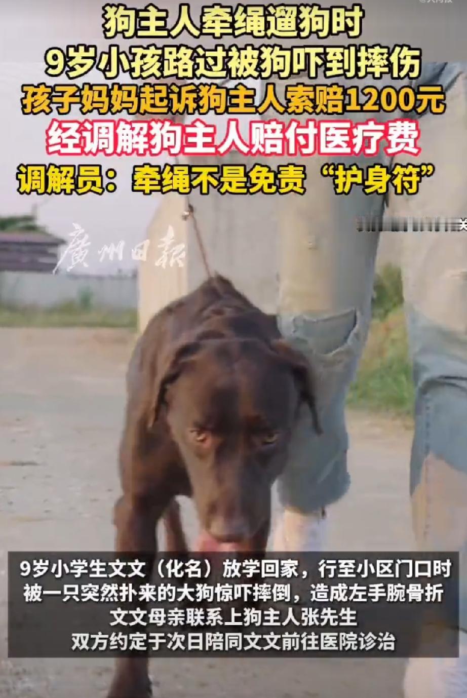 “冤不冤？”广东东莞，一名9岁女孩见到大狗向自己扑过来，吓得连连后退，不小心摔倒