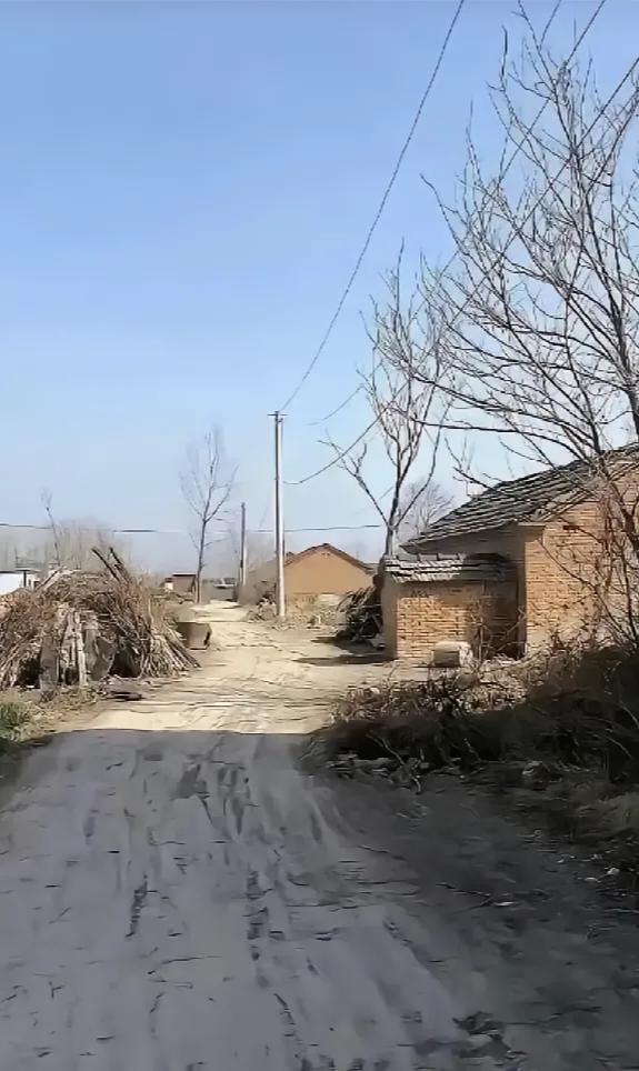 乡愁，回到家，就是为了看看，一一