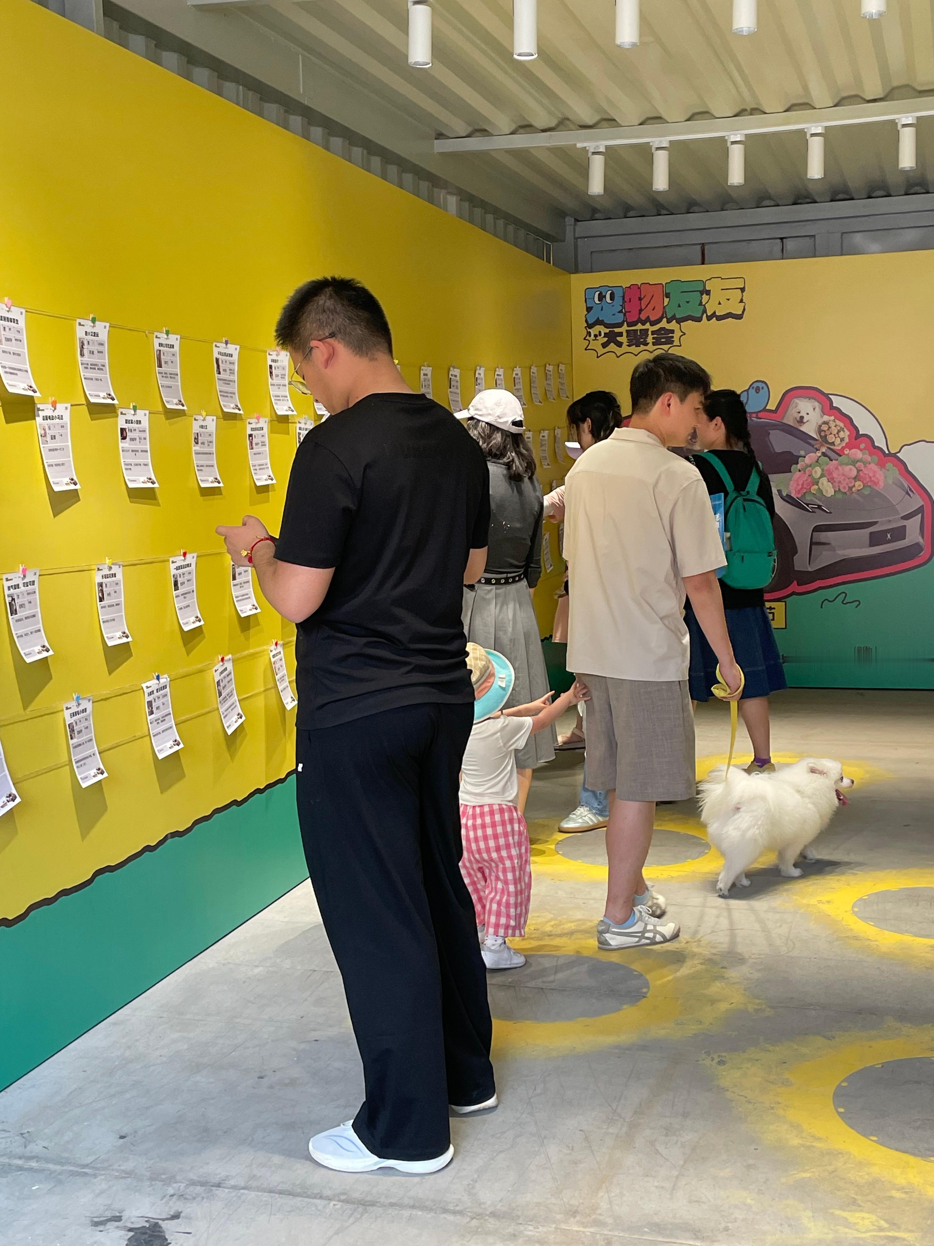 养宠物会替你解决相亲的烦恼自从养了宠物，七大姑八大姨的相亲轰炸都弱爆了！带毛孩
