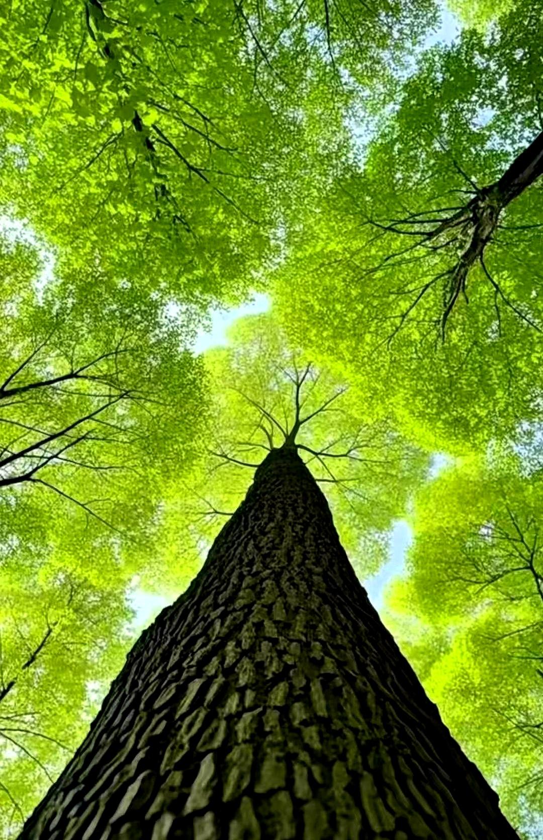 在单位混久了才发现，嘴紧的人，没人敢拿你当软柿子；安静把活做干净的，贵人会自己靠