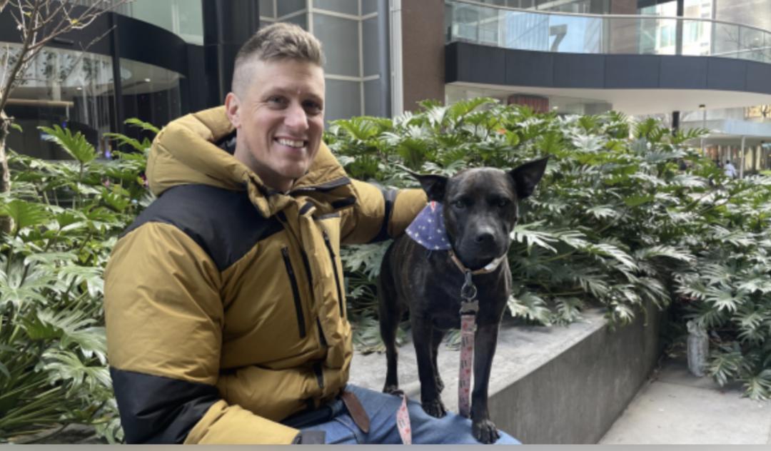 别神化了！3月29日，中国新闻周刊报道，澳大利亚程序员保罗借助AI为患癌犬罗茜