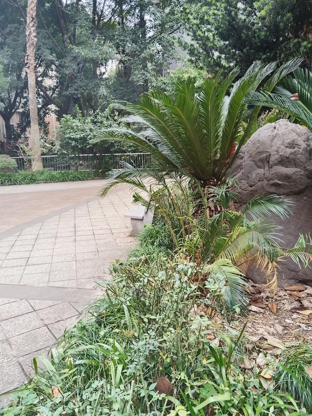 武汉老板扣1000块工钱，竟赔掉整店开业！这波操作太蠢了武汉一老板为省10