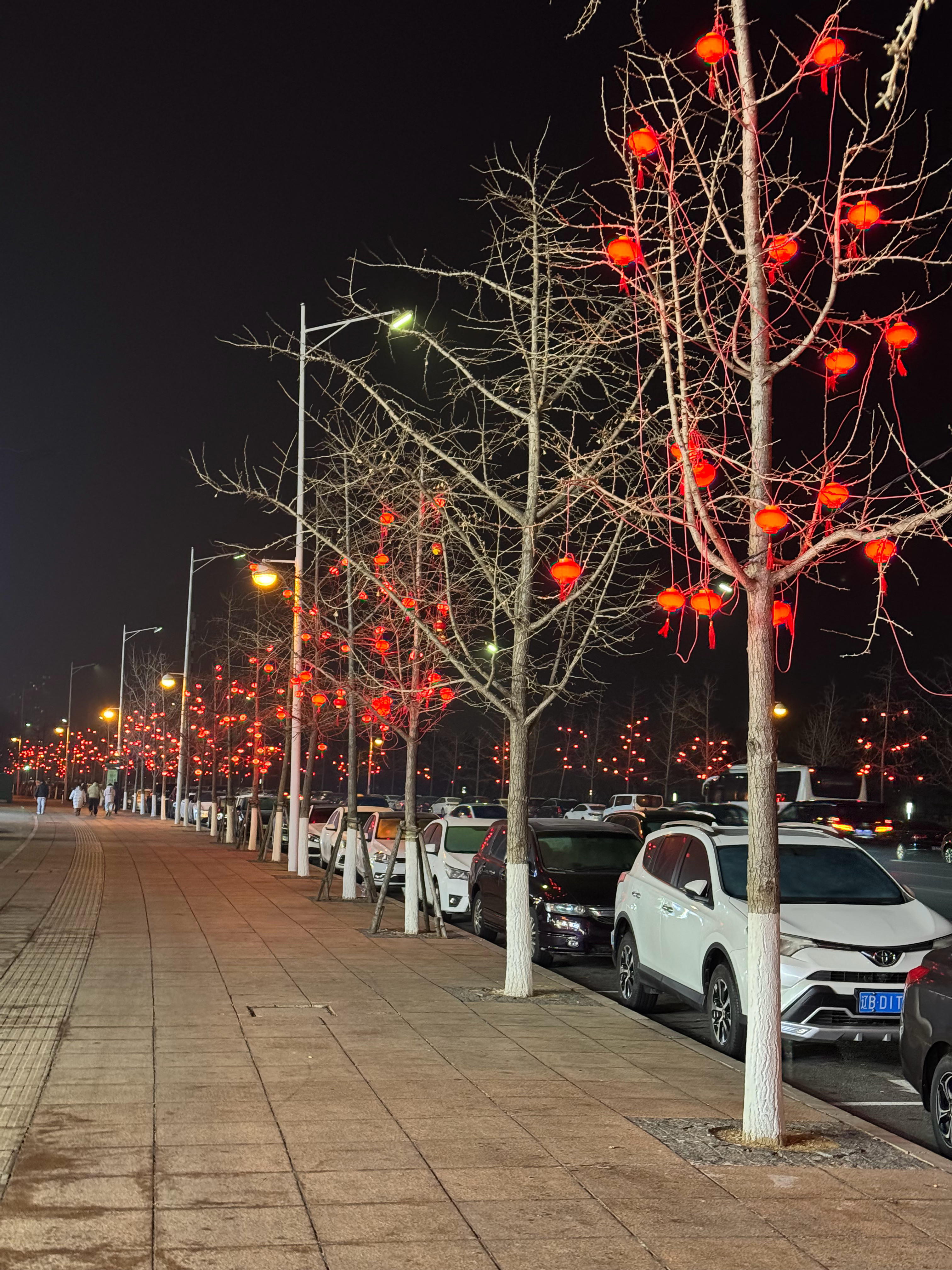 街上的灯笼都挂起了节日的氛围越来越浓厚这一年过的太快了尤其是12月份，感觉还没开