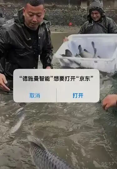 重磅! 官方对淘宝霸屏广告展开调查! 硬控十亿人的摇一摇广告要被治了?