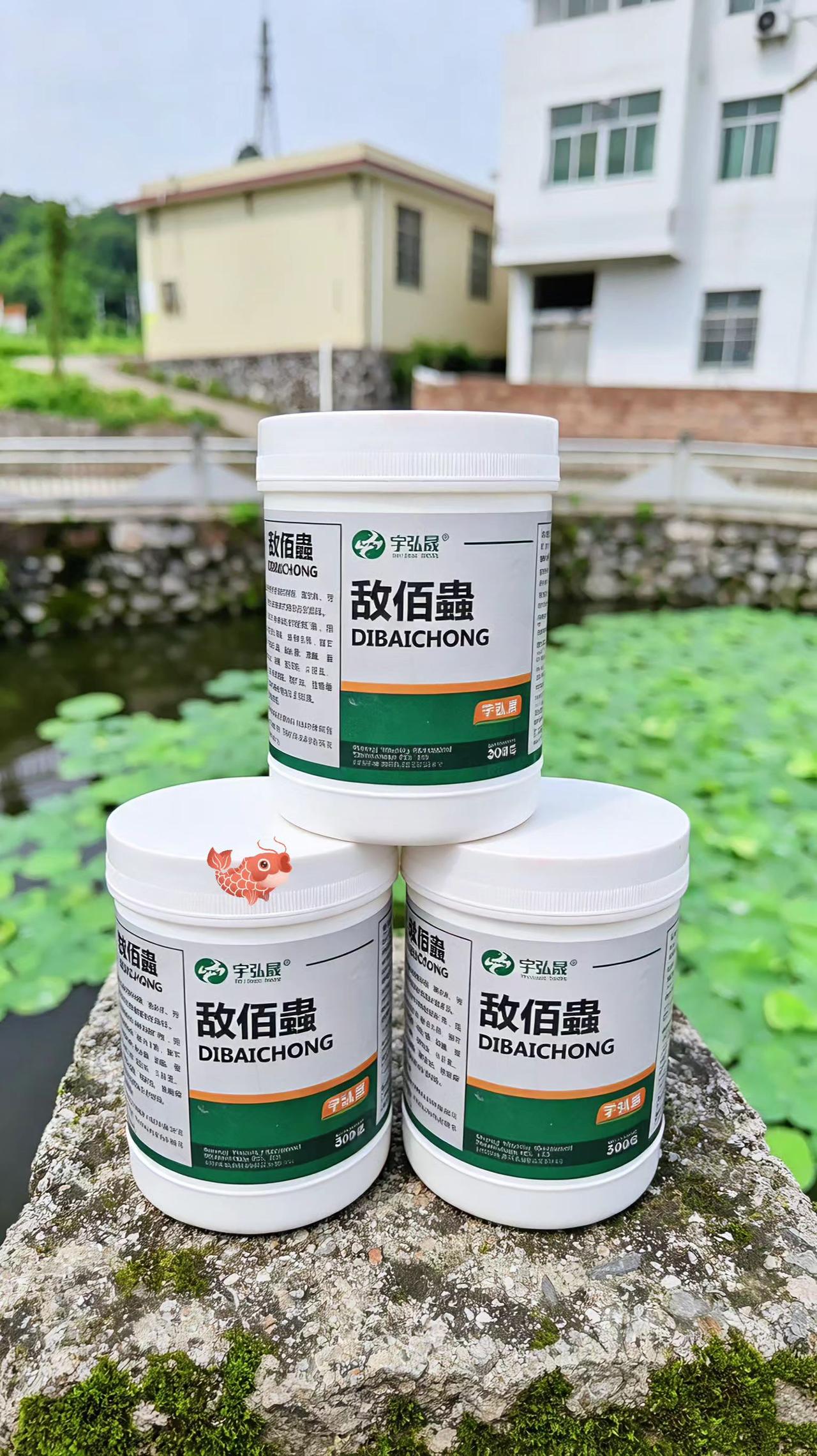敌佰蟲鱼塘养殖鲢鱼鲤鱼草鱼
