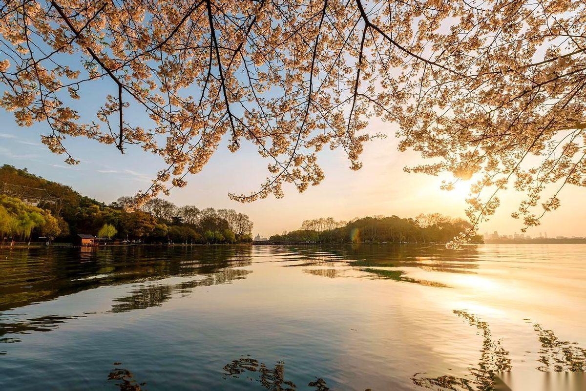 摆在他面前两条路。要么，背叛那个救过他命的大哥，从此金山银山，当人上人。要么