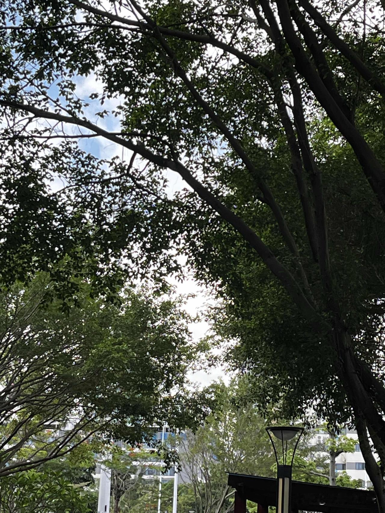 《资治通鉴》：这个世界上，正常人很少，蠢人特别多先讲个真事。我朋友劝同事别跟