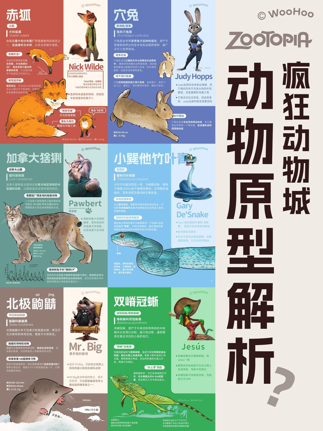 疯狂动物城动物原型解析...