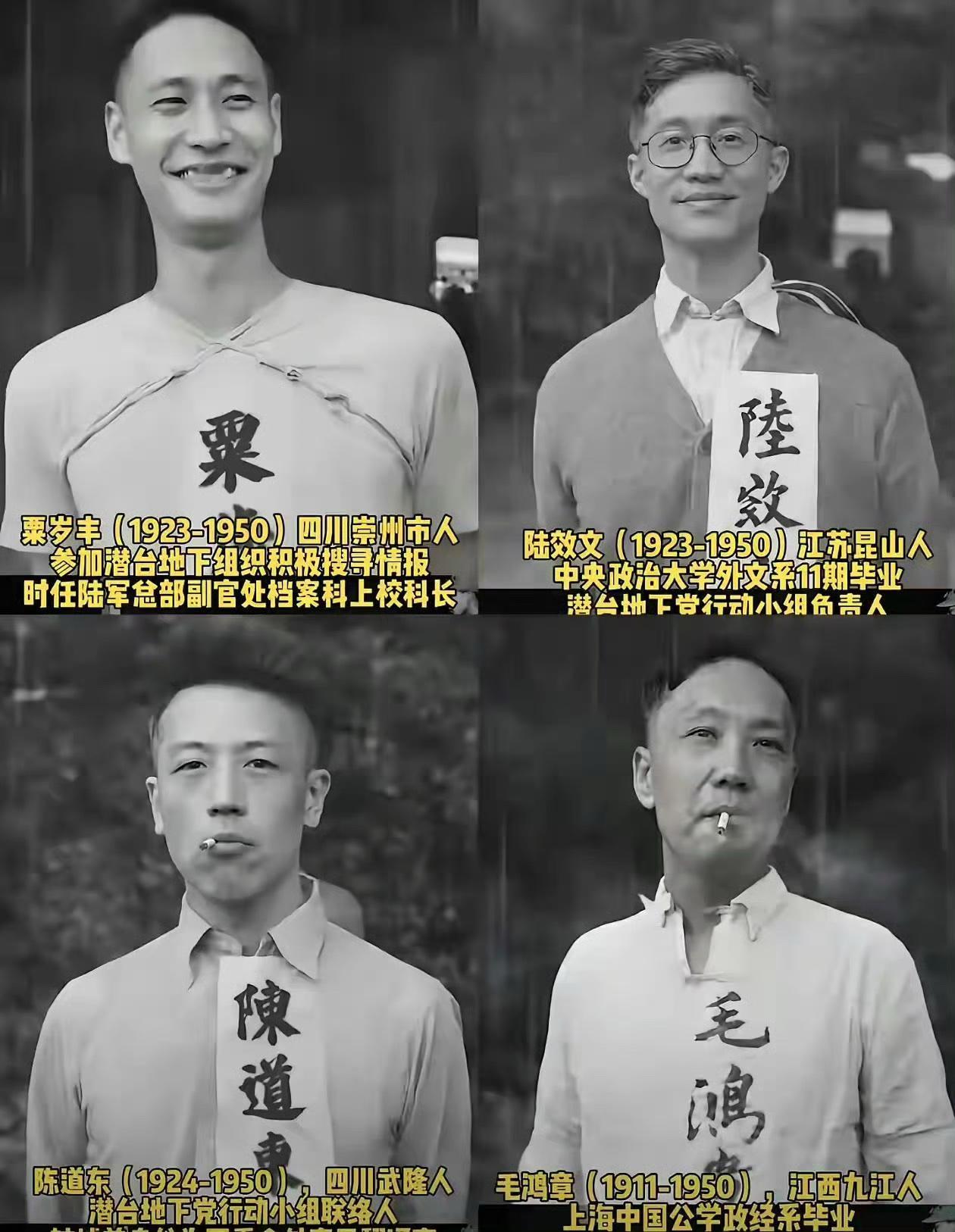 他们笑着倒在黎明前
