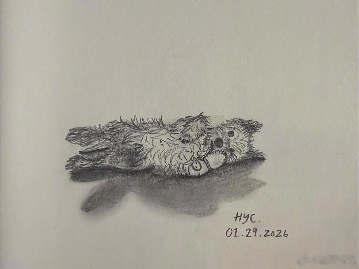 黄磊女儿黄多多分享日常照，多多艺术生味好浓啊…这就是所谓的星味吗