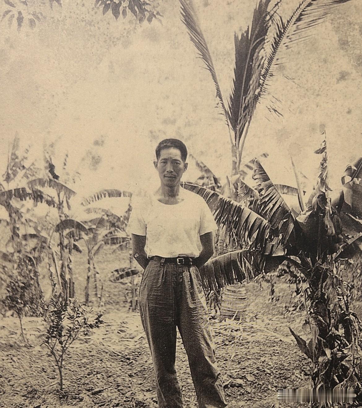 1969年，袁隆平研究小组在云南省元江县加速繁殖不育材料（图一）。袁隆平说：“只