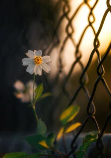 一个性学家说：感情里最脏的，不是吵架摔门，是没下车的接单；不是直白分手，是假