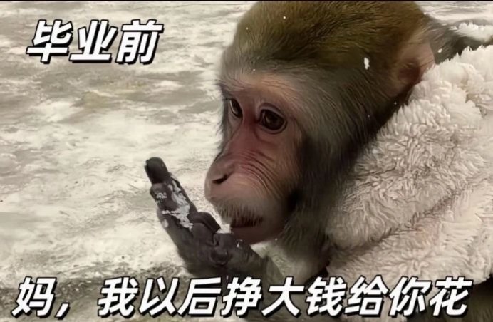 一大早的刚起床差点笑发财了打工人还真是惨兮兮[滑稽笑][滑稽笑]​​​