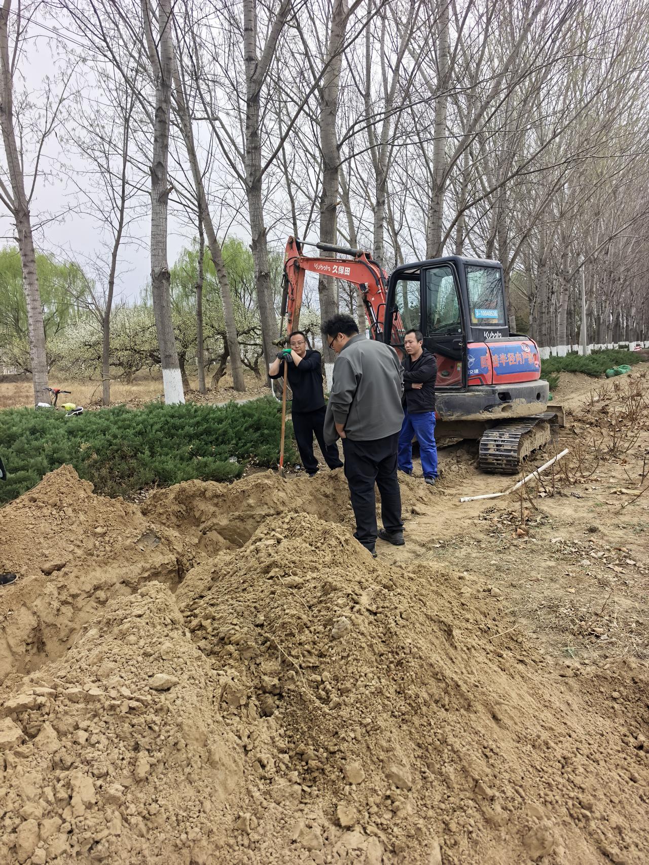 泊梦岛房车营地水路改造，这疯狂的挖掘机一天铲断了一根光纤两条水管……培源头发都炸