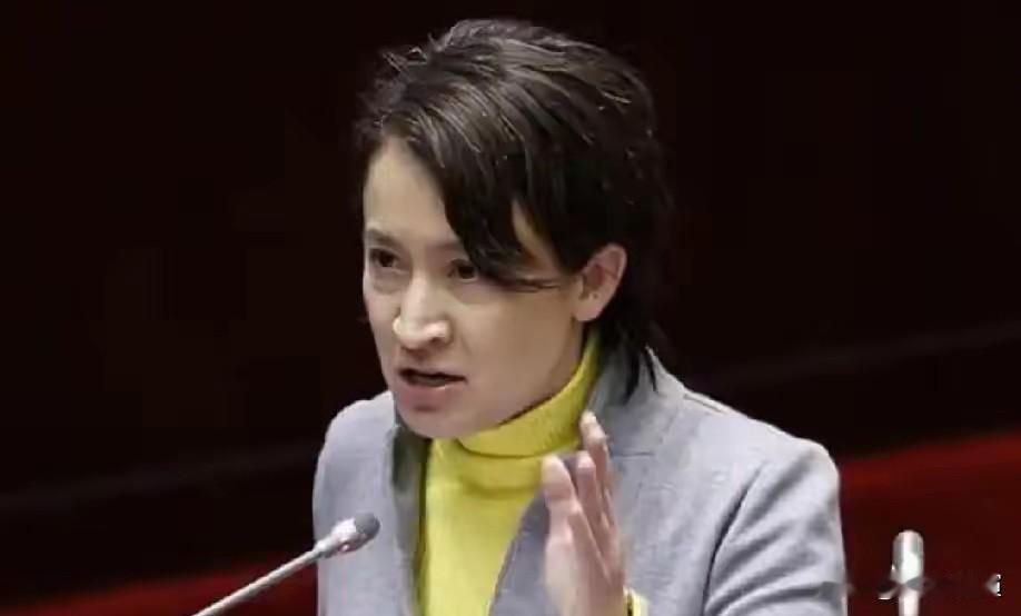 今天，箫美琴恼羞成怒，终于忍不住发话了！1月29日，箫美琴对着媒体大放厥词，说