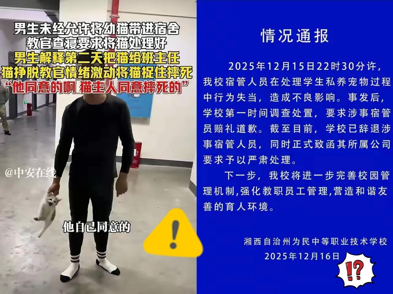 教官被辞退就完了？这起摔猫事件的公平，不该只靠开除一个人撑着！学生违规带