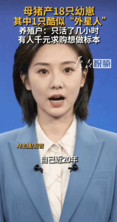 “大开眼界!”河南驻马店，男子家里母猪生下18只猪崽，男子开心不已，哪料，转头