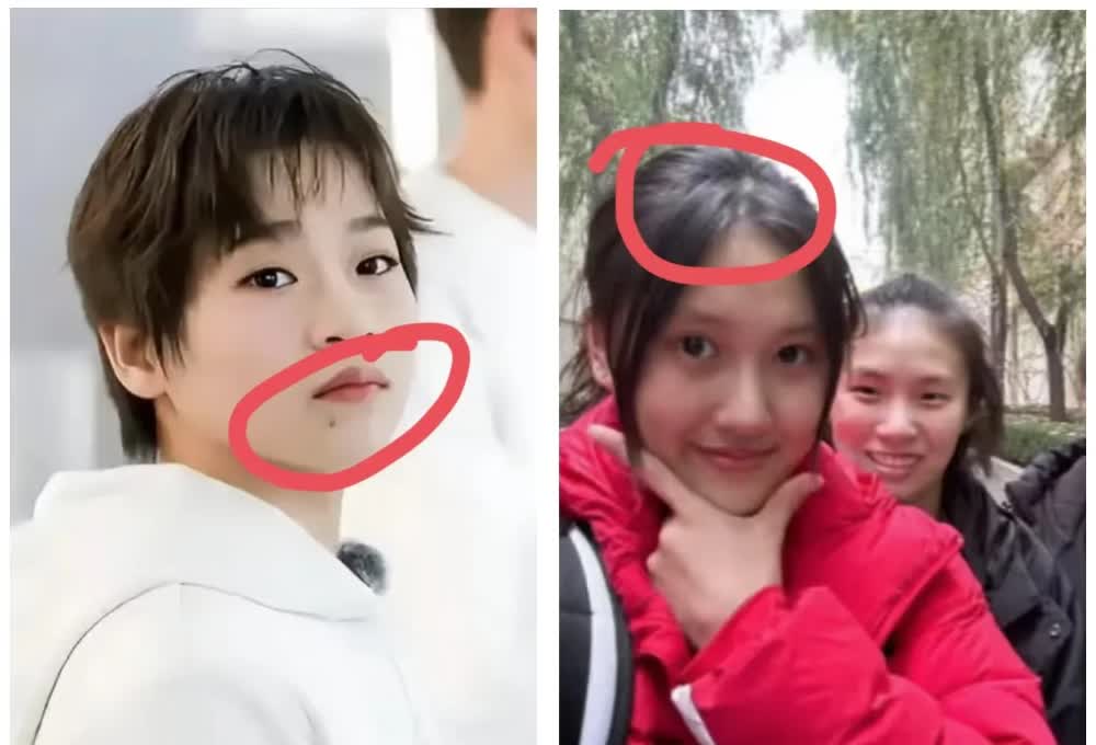全红婵这次是真的输了，不是她没有实力，也不是她最近胖了，更不是她三次没拿
