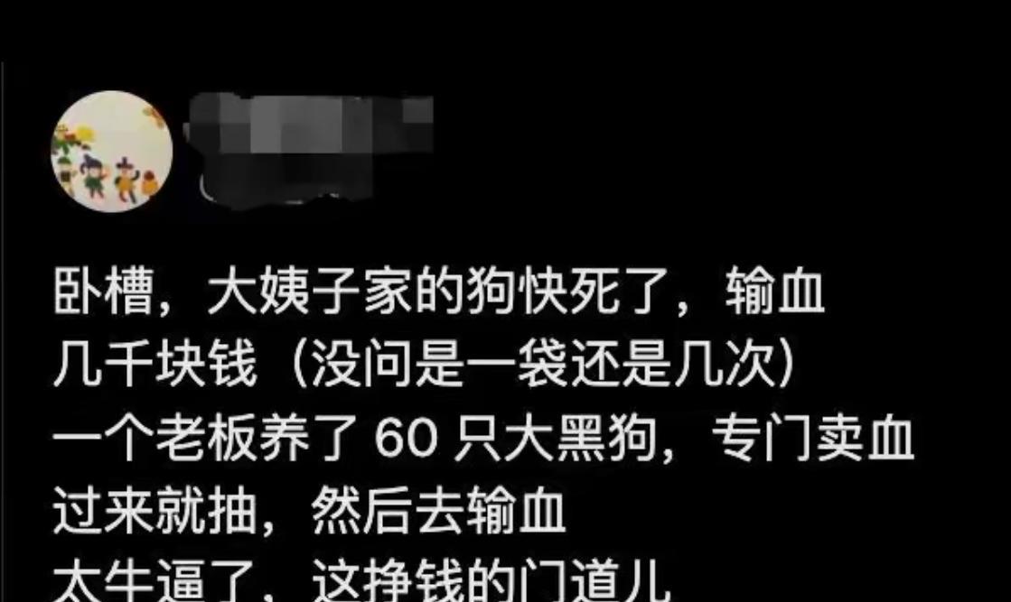 爱狗爱到极致了。