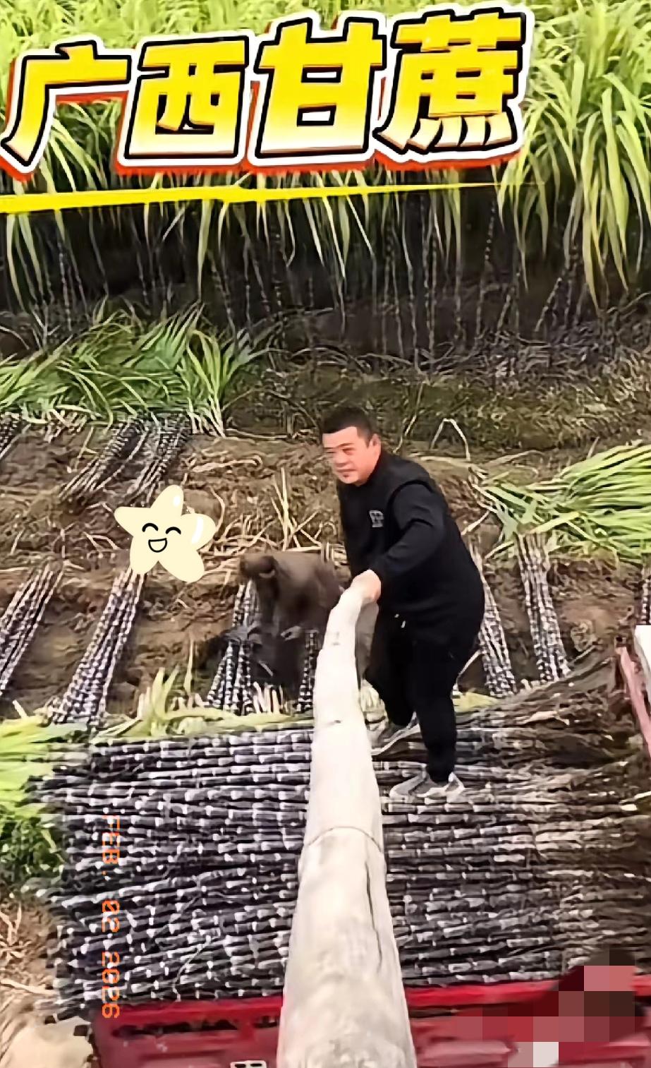 “董宇辉就是一个商人，一切只为利益，没有助农……”这是最近“群演”们攻击董