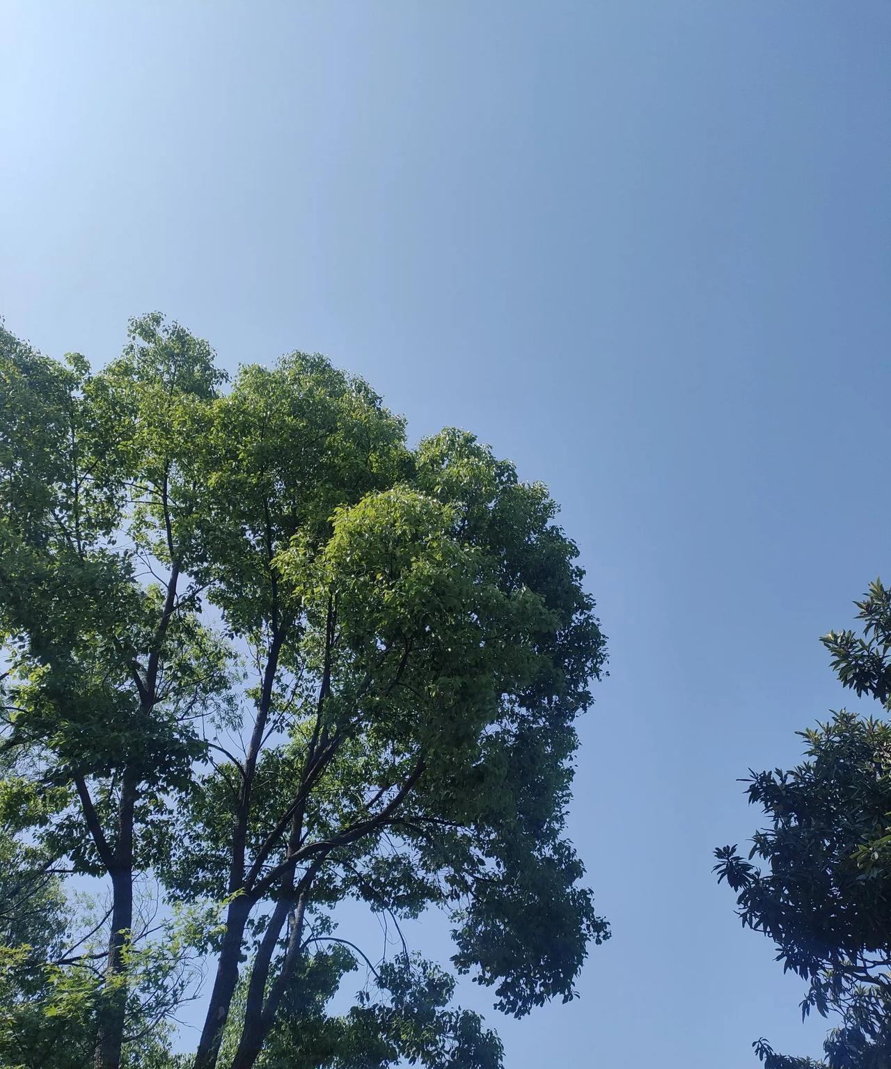 早上的天空，太阳还不是很毒辣，看上天空方向也不刺眼。#晒晒家乡的天空#