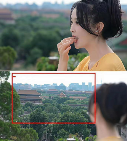 王艳每次发照片不秀一下紫禁城背景都难受​​​