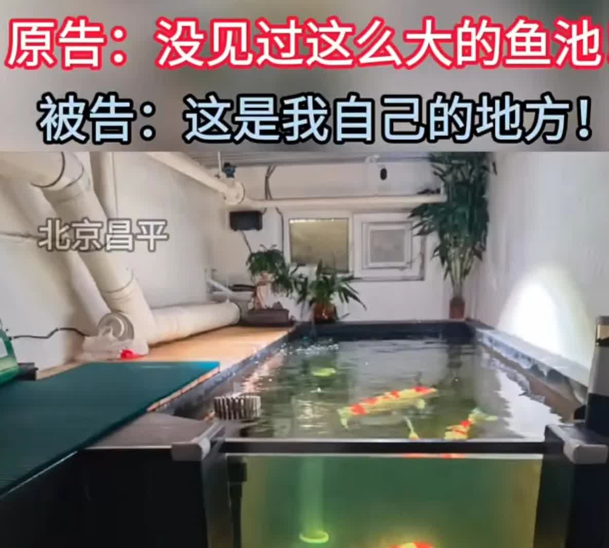 大高层的毛病已经越来越多了！北京一住户建“鱼塘”，把楼上的住户愁死了。要