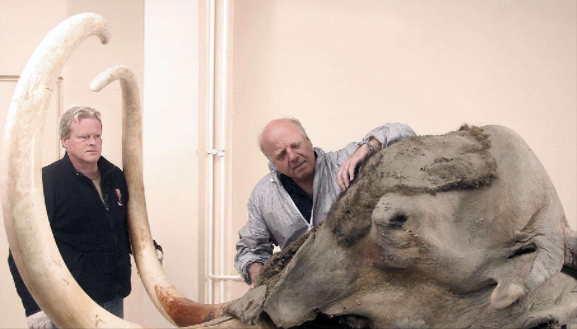 2013年，俄罗斯的一位科学家，为了证明能够“永生”，竟将350万年前的细菌注射