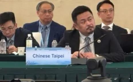 南京APEC会场桌牌写着ChineseTaipei！洪申翰来了，青鸟怎么不出征