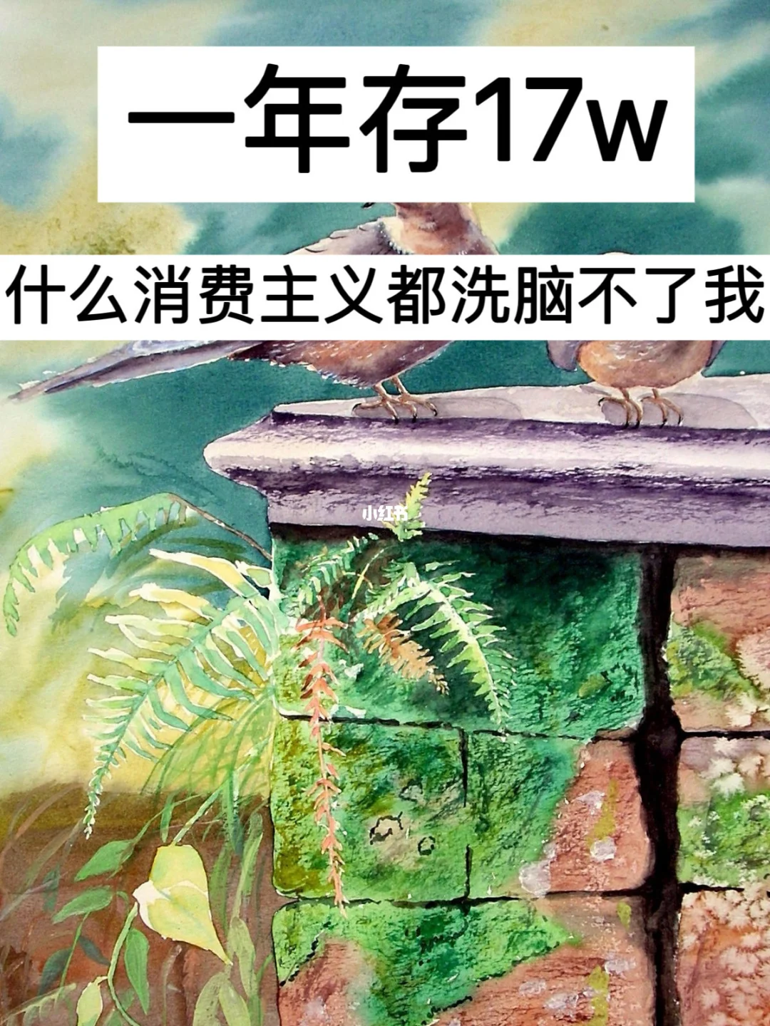 一年存17w，什么消费主义都洗脑不了我！