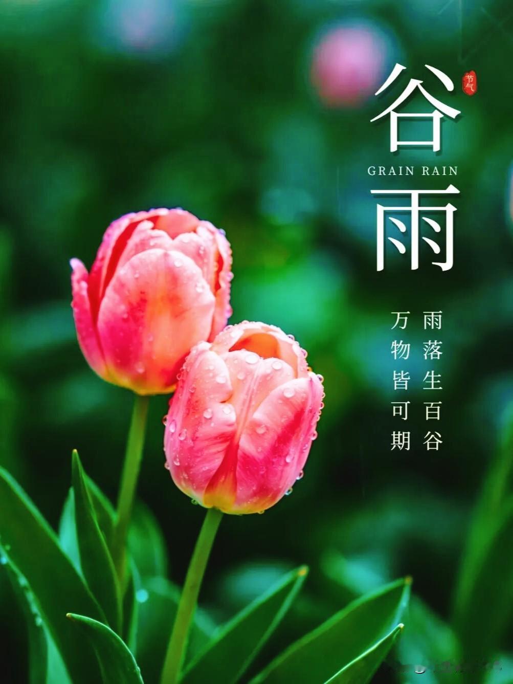 谷得雨而生，心随景而宁。风染千山绿，雨润百花柔。一雨润初心，百谷兆丰收。