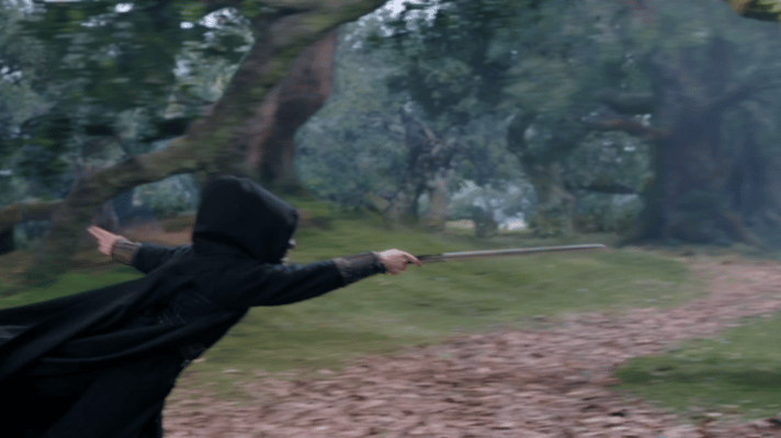 平时是霸气帝王，剑出鞘便是绝世武者。眼神里的杀气与威严，配合行云流水的动作，帝王