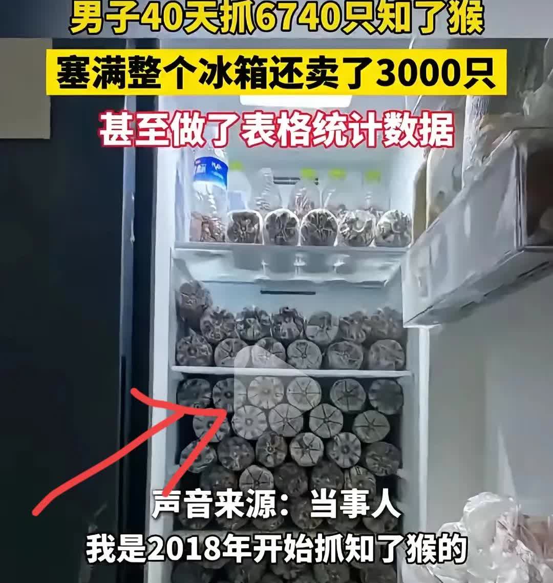 山东潍坊一男子，抓知了猴那叫一个猛，40天时间，竟然抓了6740只！这数量，都能