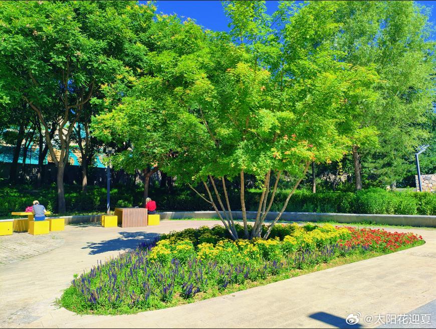 一睁眼，就掉进了夏日的绿海里～寻美河南