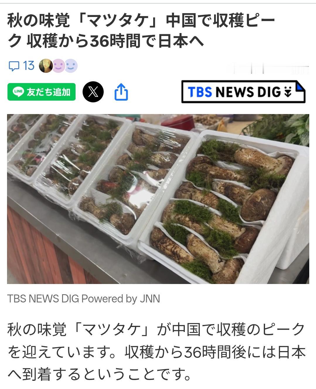 日媒：云南松茸收获后36小时即可抵达日本日媒《TBS新闻》8月20日报道：秋季