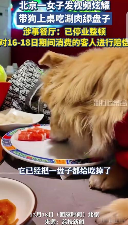 北京，有位女子，平日就爱带宠物狗去餐厅，肉饼、拉面，吃完还发视频显摆。当天她又带