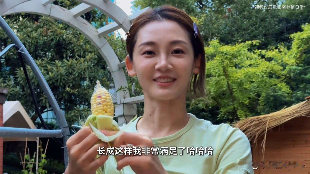 12月19日，郑恺妻子苗苗更新农场vlog，她花费6个多月，将自己家的院子打造成