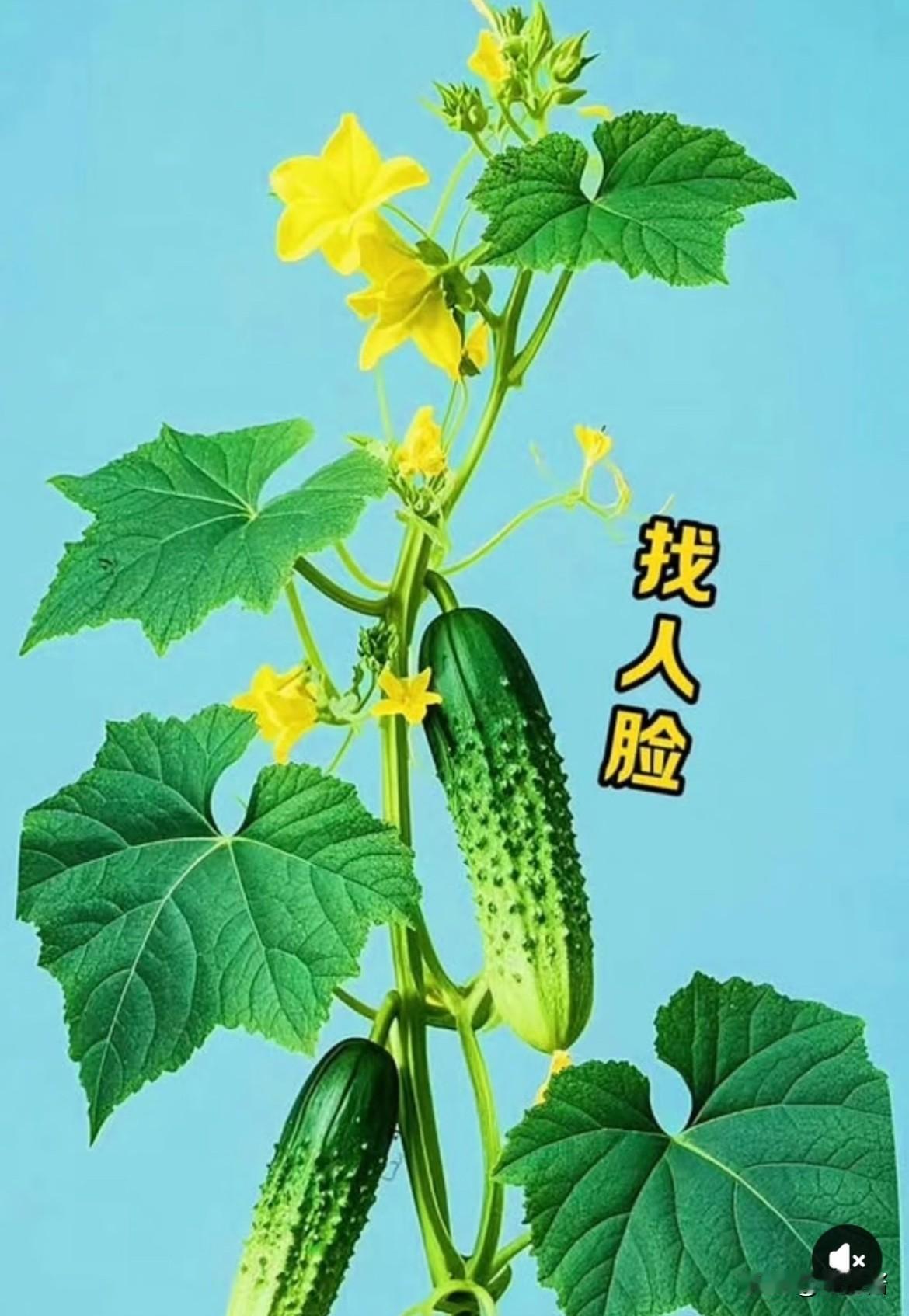 能在20秒找出三张人脸，一定是天才！来考考大伙的眼力👀这张图里面藏了3张人