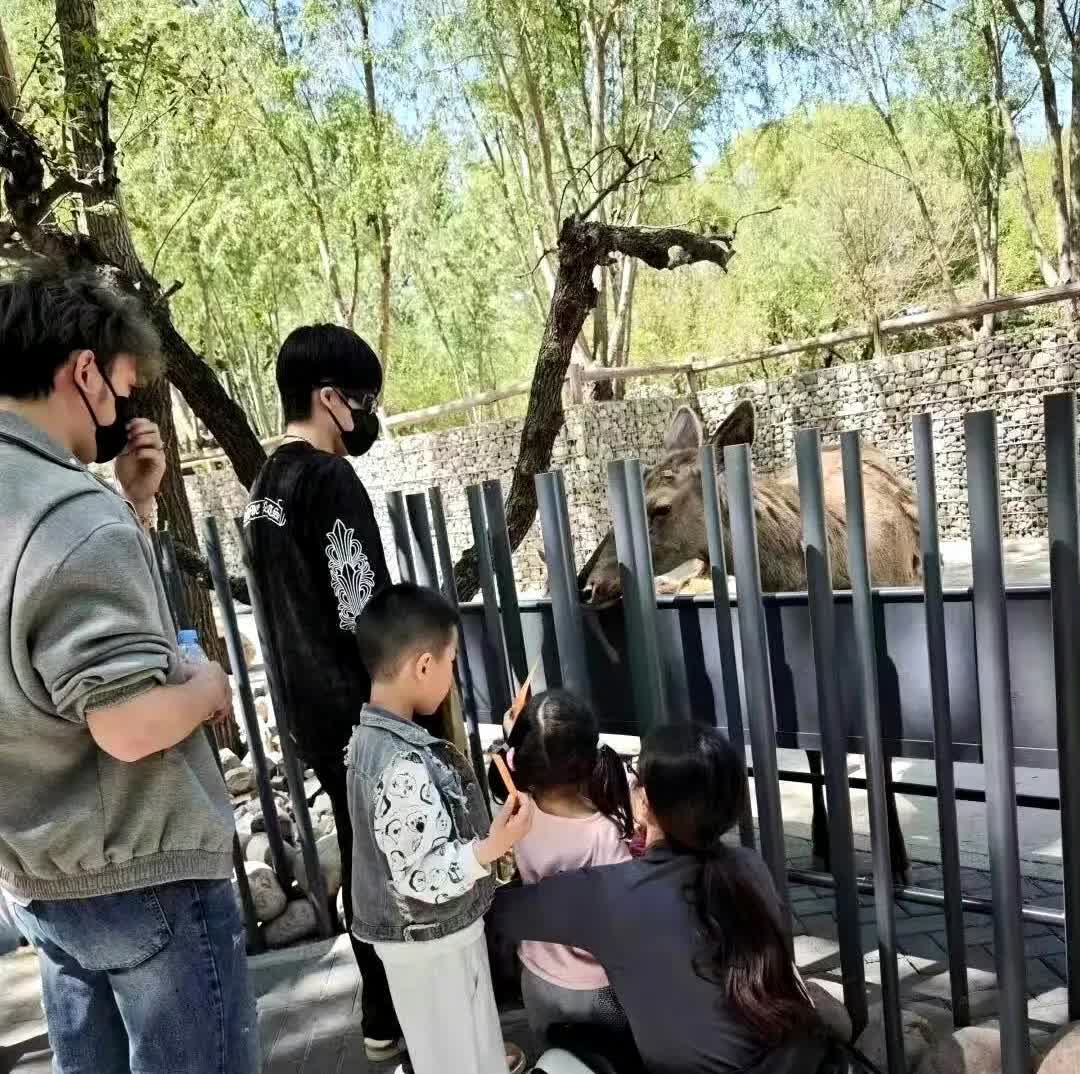 王楚钦发动物园库存照被显微镜女孩当场破案！同款外套同款口罩，连眼镜腿反光的弧度都