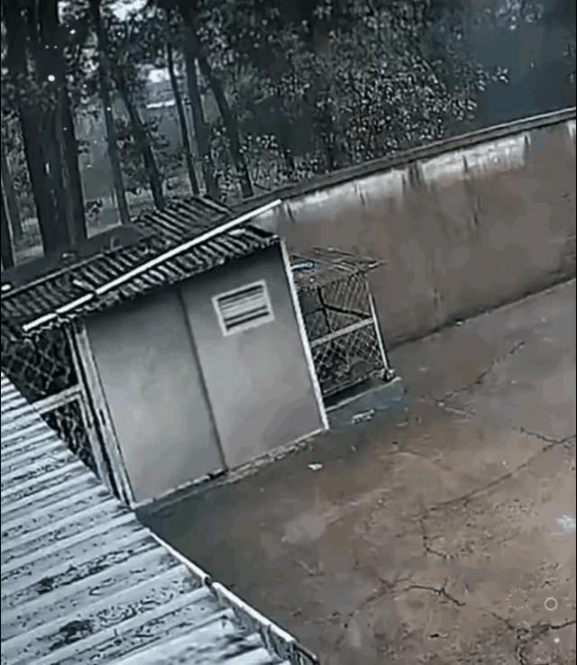 大哥挺淡定先穿上裤子在走出来[捂脸哭]