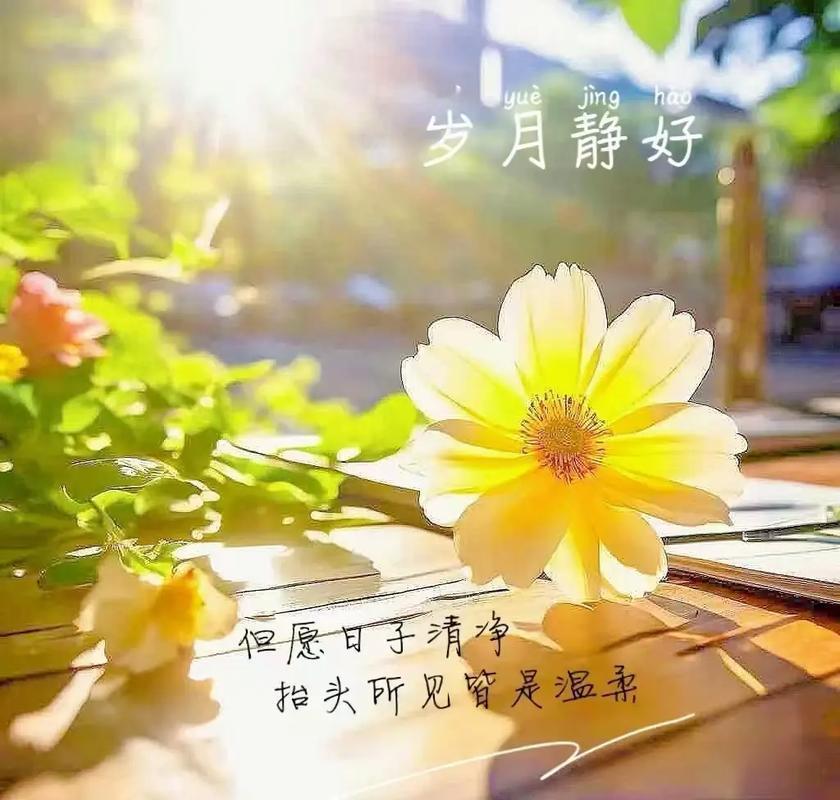 赚钱是为了生活而不是活着为了赚钱你那么拼命加班、应酬、看脸色像台机器